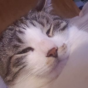 Meet your Posher, Haus